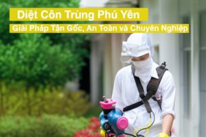 Diệt Côn Trùng Phú Yên: Giải Pháp Tận Gốc, An Toàn và Chuyên Nghiệp
