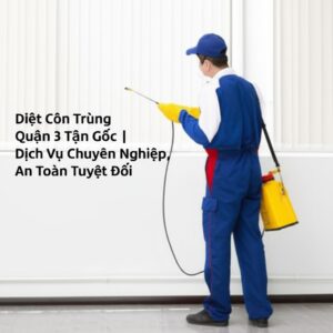 Diệt Côn Trùng Quận 3 Tận Gốc | Dịch Vụ Chuyên Nghiệp, An Toàn Tuyệt Đối
