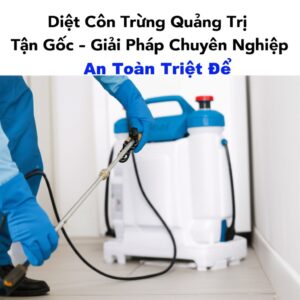 Diệt Côn Trùng Quảng Trị Tận Gốc – Giải Pháp Chuyên Nghiệp, An Toàn Triệt Để