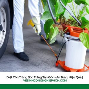 Diệt Côn Trùng Sóc Trăng Tận Gốc – An Toàn, Hiệu Quả | VESINHCONGNGHIEPHCM.COM
