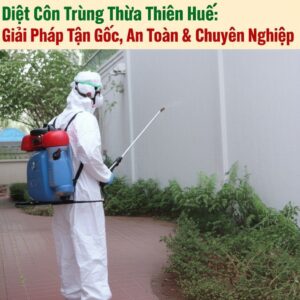 Diệt Côn Trùng Thừa Thiên Huế: Giải Pháp Tận Gốc, An Toàn & Chuyên Nghiệp
