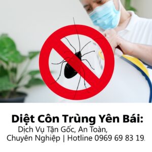 Diệt Côn Trùng Yên Bái: Dịch Vụ Tận Gốc, An Toàn, Chuyên Nghiệp | Hotline 0969 69 83 19