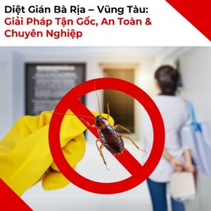 Diệt Gián Bà Rịa – Vũng Tàu: Giải Pháp Tận Gốc, An Toàn & Chuyên Nghiệp