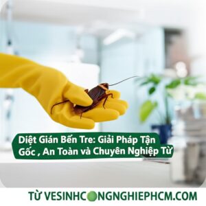 Diệt Gián Bến Tre: Giải Pháp Tận Gốc, An Toàn và Chuyên Nghiệp Từ VESINHCONGNGHIEPHCM.COM