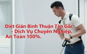 Diệt Gián Bình Thuận Tận Gốc – Dịch Vụ Chuyên Nghiệp, An Toàn 100%