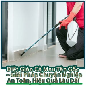 Diệt Gián Cà Mau Tận Gốc – Giải Pháp Chuyên Nghiệp, An Toàn, Hiệu Quả Lâu Dài