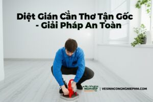Diệt Gián Cần Thơ Tận Gốc – Giải Pháp An Toàn, Chuyên Nghiệp | VESINHCONGNGHIEPHCM.COM