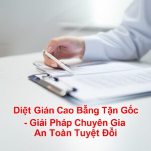 Diệt Gián Cao Bằng Tận Gốc – Giải Pháp Chuyên Gia, An Toàn Tuyệt Đối