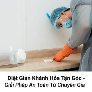 Diệt Gián Khánh Hòa Tận Gốc – Giải Pháp An Toàn, Hiệu Quả Từ Chuyên Gia