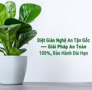 Diệt Gián Nghệ An Tận Gốc – Giải Pháp An Toàn, Hiệu Quả 100%, Bảo Hành Dài Hạn