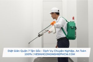 Diệt Gián Quận 7 Tận Gốc – Dịch Vụ Chuyên Nghiệp, An Toàn 100% | VESINHCONGNGHIEPHCM.COM