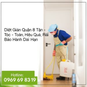Diệt Gián Quận 8 Tận Gốc – An Toàn, Hiệu Quả, Bảo Hành Dài Hạn | Hotline: 0969 69 83 19