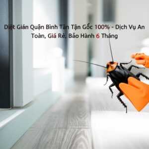 Diệt Gián Quận Bình Tân Tận Gốc 100% – Dịch Vụ An Toàn, Giá Rẻ, Bảo Hành 6 Tháng