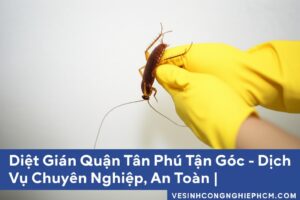 Diệt Gián Quận Tân Phú Tận Gốc – Dịch Vụ Chuyên Nghiệp, An Toàn | VESINHCONGNGHIEPHCM.COM