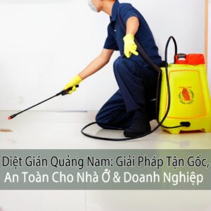 Diệt Gián Quảng Nam: Giải Pháp Tận Gốc, An Toàn Cho Nhà Ở & Doanh Nghiệp