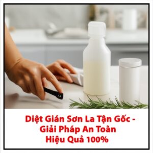 Diệt Gián Sơn La Tận Gốc – Giải Pháp An Toàn, Hiệu Quả 100%