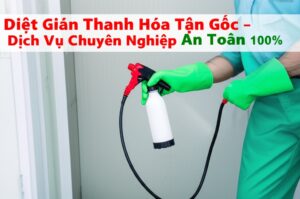 Diệt Gián Thanh Hóa Tận Gốc – Dịch Vụ Chuyên Nghiệp, An Toàn 100%