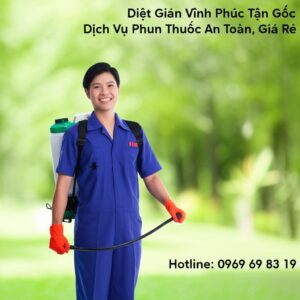 Diệt Gián Vĩnh Phúc Tận Gốc – Dịch Vụ Phun Thuốc An Toàn, Giá Rẻ | Hotline: 0969 69 83 19