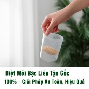 Diệt Mối Bạc Liêu Tận Gốc 100% – Giải Pháp An Toàn, Hiệu Quả