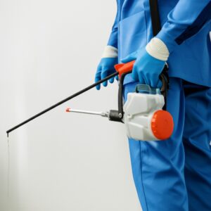 Diệt Mối Hà Nam Tận Gốc 100% – Giải Pháp An Toàn, Hiệu Quả