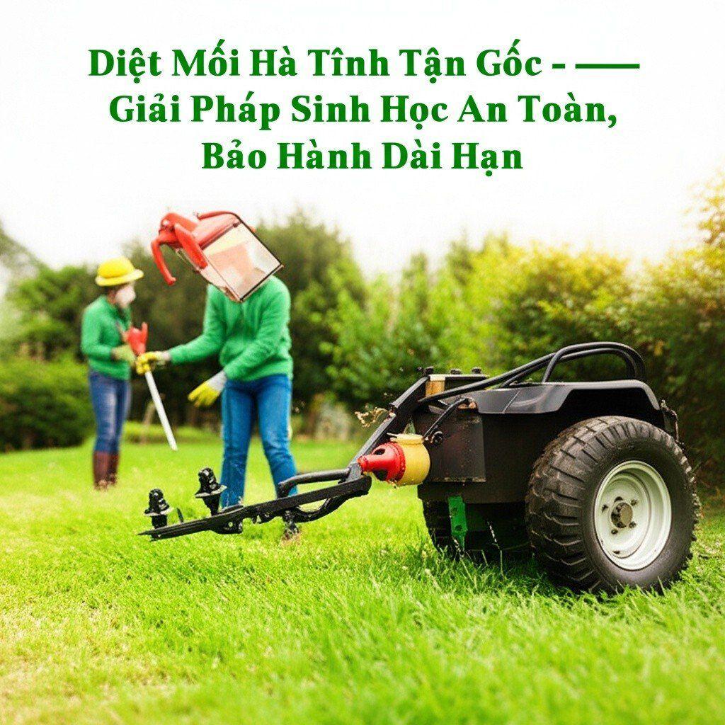 Hình minh họa cho bài viết: Diệt Mối Hà Tĩnh Tận Gốc - Giải Pháp Sinh Học An Toàn, Bảo Hành Dài Hạn