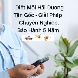 Diệt Mối Hải Dương Tận Gốc – Giải Pháp Chuyên Nghiệp, An Toàn, Bảo Hành 5 Năm