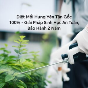 Diệt Mối Hưng Yên Tận Gốc 100% – Giải Pháp Sinh Học An Toàn, Bảo Hành 2 Năm