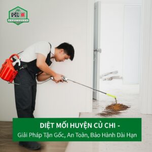 Diệt Mối Huyện Củ Chi – Giải Pháp Tận Gốc, An Toàn, Bảo Hành Dài Hạn