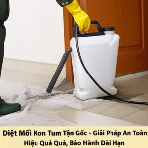 Diệt Mối Kon Tum Tận Gốc – Giải Pháp An Toàn, Hiệu Quả, Bảo Hành Dài Hạn