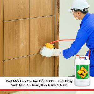 Diệt Mối Lào Cai Tận Gốc 100% – Giải Pháp Sinh Học An Toàn, Bảo Hành 5 Năm