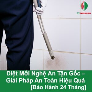Diệt Mối Nghệ An Tận Gốc – Giải Pháp An Toàn, Hiệu Quả [Bảo Hành 24 Tháng]