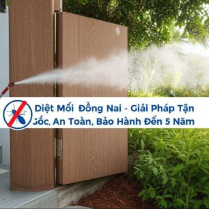 Diệt Mối Đồng Nai – Giải Pháp Tận Gốc, An Toàn, Bảo Hành Đến 5 Năm