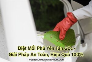 Diệt Mối Phú Yên Tận Gốc – Giải Pháp An Toàn, Hiệu Quả 100% | VESINHCONGNGHIEPHCM.COM