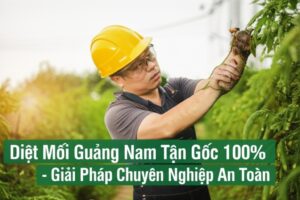 Diệt Mối Quảng Nam Tận Gốc 100% – Giải Pháp Chuyên Nghiệp, An Toàn