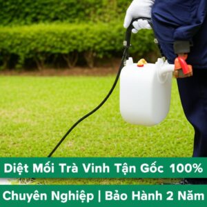 Diệt Mối Trà Vinh Tận Gốc 100% – An Toàn, Chuyên Nghiệp | Bảo Hành 2 Năm