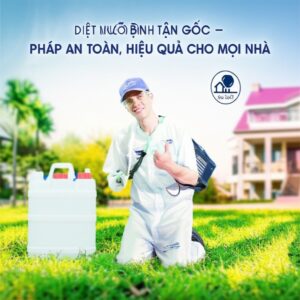 Diệt Muỗi Bình Định Tận Gốc – Giải Pháp An Toàn, Hiệu Quả Cho Mọi Nhà