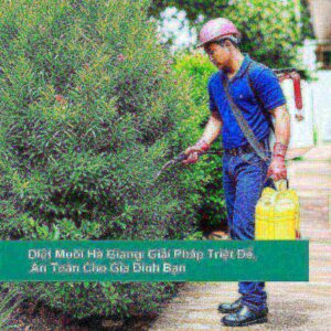 Diệt Muỗi Hà Giang: Giải Pháp Triệt Để, An Toàn Cho Gia Đình Bạn