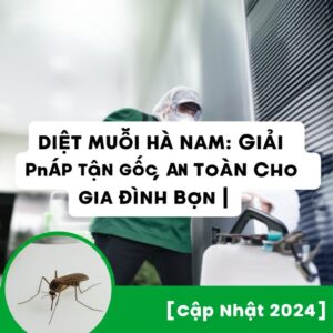 Diệt muỗi Hà Nam: Giải Pháp Tận Gốc, An Toàn Cho Gia Đình Bạn | [Cập Nhật 2024]