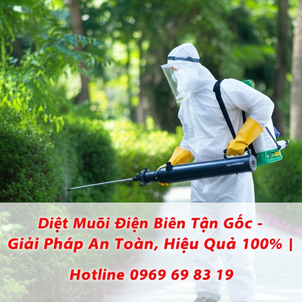 Hình minh họa cho bài viết: Diệt Muỗi Điện Biên Tận Gốc - Giải Pháp An Toàn, Hiệu Quả 100% | Hotline 0969 69 83 19