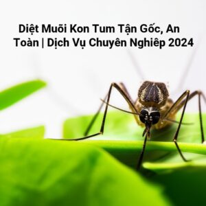 Diệt Muỗi Kon Tum Tận Gốc, An Toàn | Dịch Vụ Chuyên Nghiệp 2024