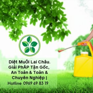 Diệt Muỗi Lai Châu: Giải Pháp Tận Gốc, An Toàn & Chuyên Nghiệp | Hotline 0969 69 83 19