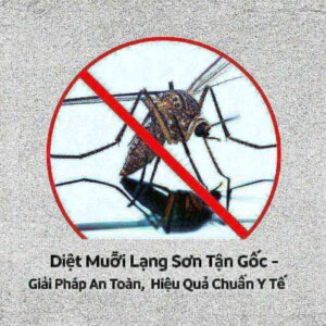 Diệt Muỗi Lạng Sơn Tận Gốc – Giải Pháp An Toàn, Hiệu Quả Chuẩn Y Tế
