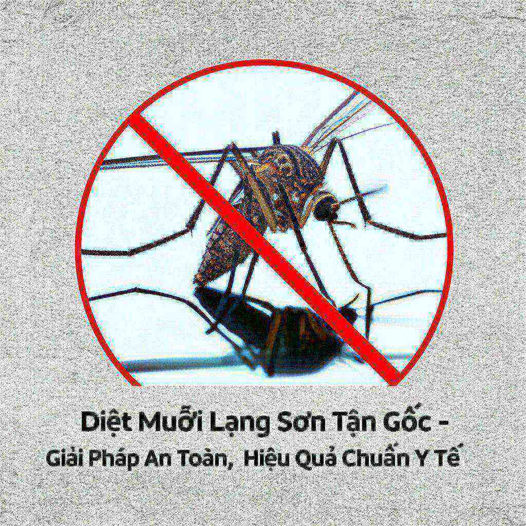 Hình minh họa cho bài viết: Diệt Muỗi Lạng Sơn Tận Gốc - Giải Pháp An Toàn, Hiệu Quả Chuẩn Y Tế