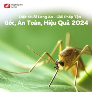 Diệt Muỗi Long An – Giải Pháp Tận Gốc, An Toàn, Hiệu Quả 2024