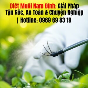 Diệt Muỗi Nam Định: Giải Pháp Tận Gốc, An Toàn & Chuyên Nghiệp | Hotline: 0969 69 83 19