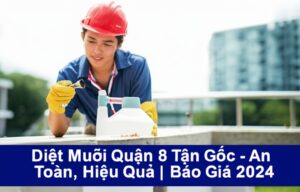 Diệt Muỗi Quận 8 Tận Gốc – An Toàn, Hiệu Quả | Báo Giá 2024