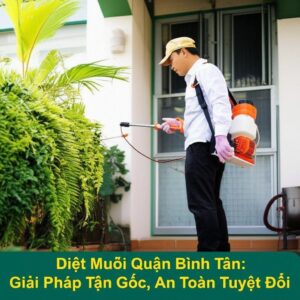 Diệt Muỗi Quận Bình Tân: Giải Pháp Tận Gốc, An Toàn Tuyệt Đối