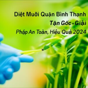 Diệt Muỗi Quận Bình Thạnh Tận Gốc – Giải Pháp An Toàn, Hiệu Quả 2024