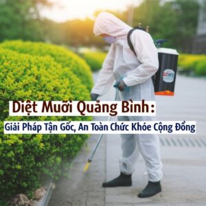 Diệt Muỗi Quảng Bình: Giải Pháp Tận Gốc, An Toàn Cho Sức Khỏe Cộng Đồng