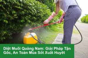 Diệt Muỗi Quảng Nam: Giải Pháp Tận Gốc, An Toàn Mùa Sốt Xuất Huyết